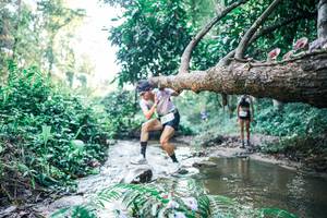 BIB: 
                            <button type="button" onclick="openModal(25431142)" class="btn btn-primary btn-sm float-right btn-popup" data-toggle="modal" data-target=".modal-high-quality">
                        <i class="fas fa-shopping-cart"></i> Add to Cart
                    </button>
                                            <button type="button" onclick="isThisMe(25431142, true)" class="btn btn-success btn-sm float-right btn-popup btn-isme hidden" data-toggle="tooltip" data-placement="bottom" title="นี่คือรูปของคุณใช่ไหม คลิกที่นี่เพื่อเอาเข้าอัลบั้ม">
                        <i class="fas fa-plus"></i> Add to album
                    </button>
                    <button type="button" onclick="isThisMe(25431142, false)" class="btn btn-warning btn-sm float-right btn-popup btn-isnotme hidden">
                        <i class="fas fa-ban"></i> Remove from album
                    </button>